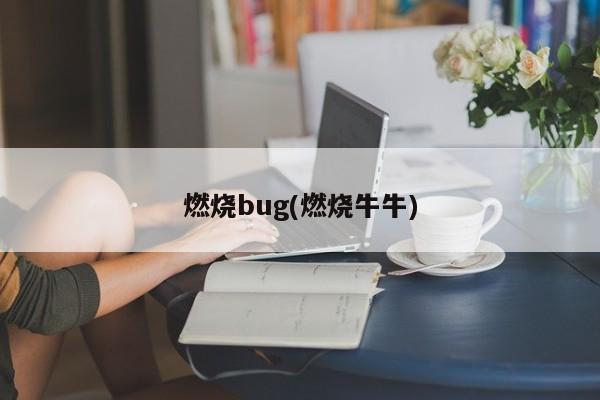 燃烧bug(燃烧牛牛)