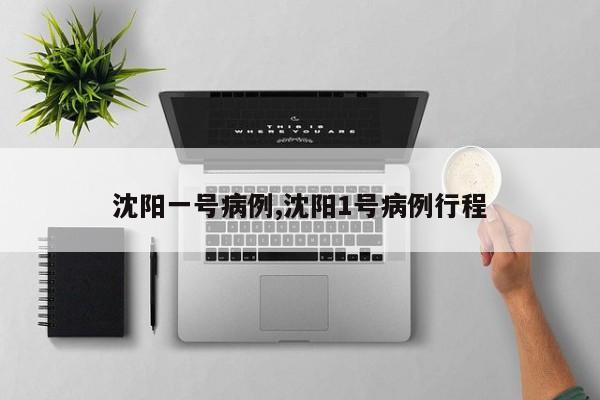 沈阳一号病例,沈阳1号病例行程