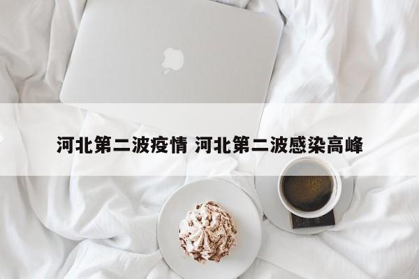 河北第二波疫情 河北第二波感染高峰