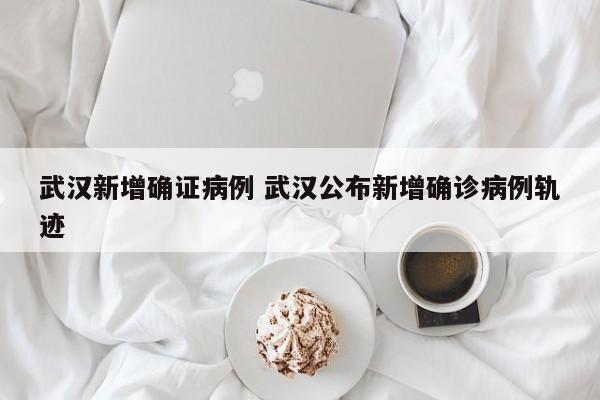 武汉新增确证病例 武汉公布新增确诊病例轨迹