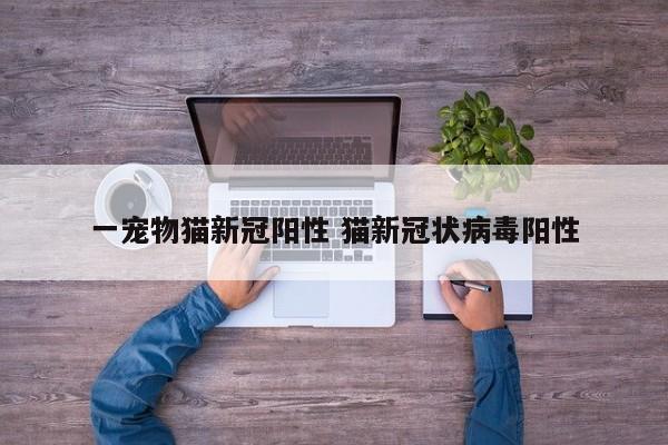 一宠物猫新冠阳性 猫新冠状病毒阳性