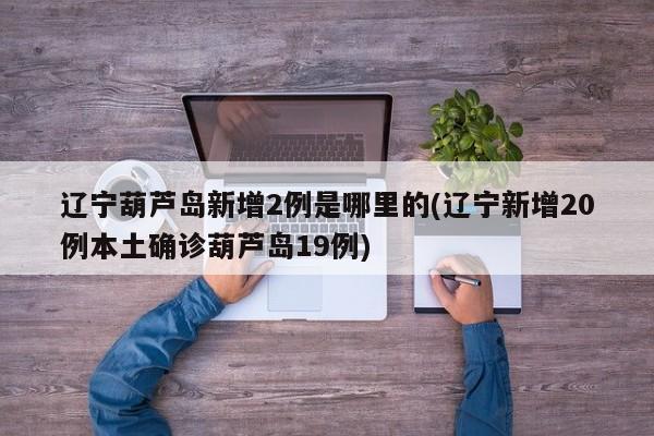 辽宁葫芦岛新增2例是哪里的(辽宁新增20例本土确诊葫芦岛19例)