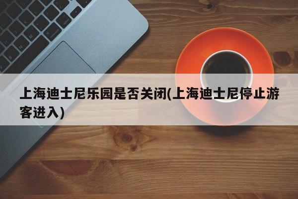 上海迪士尼乐园是否关闭(上海迪士尼停止游客进入)