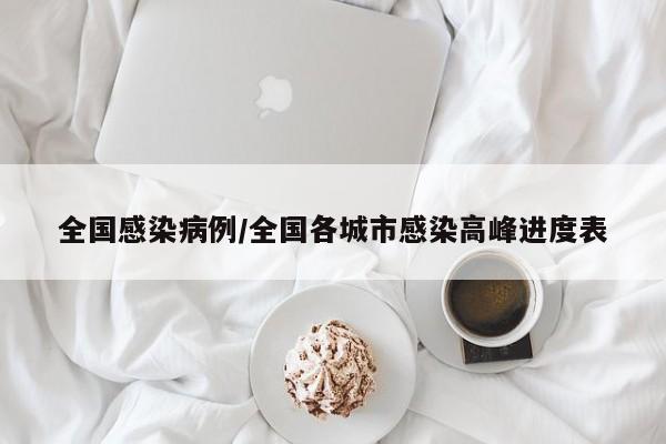 全国感染病例/全国各城市感染高峰进度表